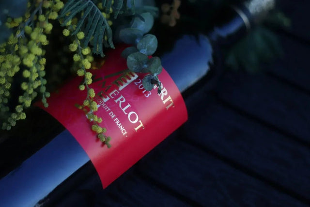 Shop Merlot Wines – Soft & Velvety Red Wines