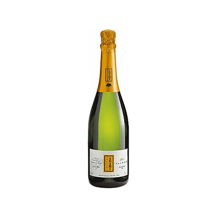 Adami Garbel Prosecco Brut 750mL - Wine barrel Plus