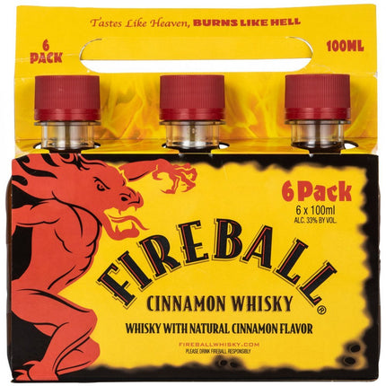 FIREBALL CINNAMON PL 6PK 66 Proof 100 ml - Wine barrel Plus