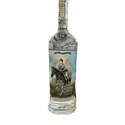 TWO JAMES G. FORCE CITRUS GIN 80 Proof 750 ml - Wine barrel Plus