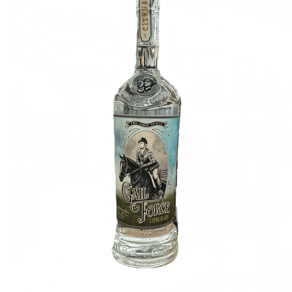 TWO JAMES G. FORCE CITRUS GIN 80 Proof 750 ml - Wine barrel Plus