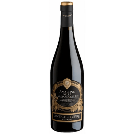 ANTICHE TERRE AMARONE DELLA VALPOLICELLA 750ML - Wine barrel Plus